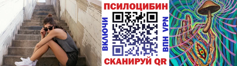 что такое   Луховицы  Псилоцибиновые грибы Psilocybe 