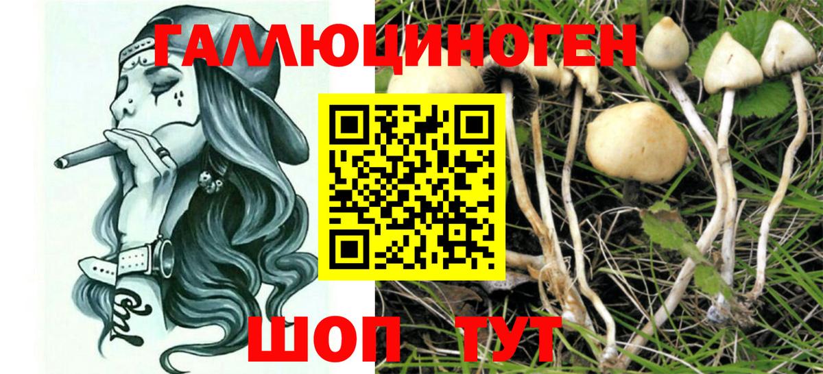 Псилоцибиновые грибы Psilocybe  Галлюциногенные грибы мухоморы  Вход с VPN  Луховицы 